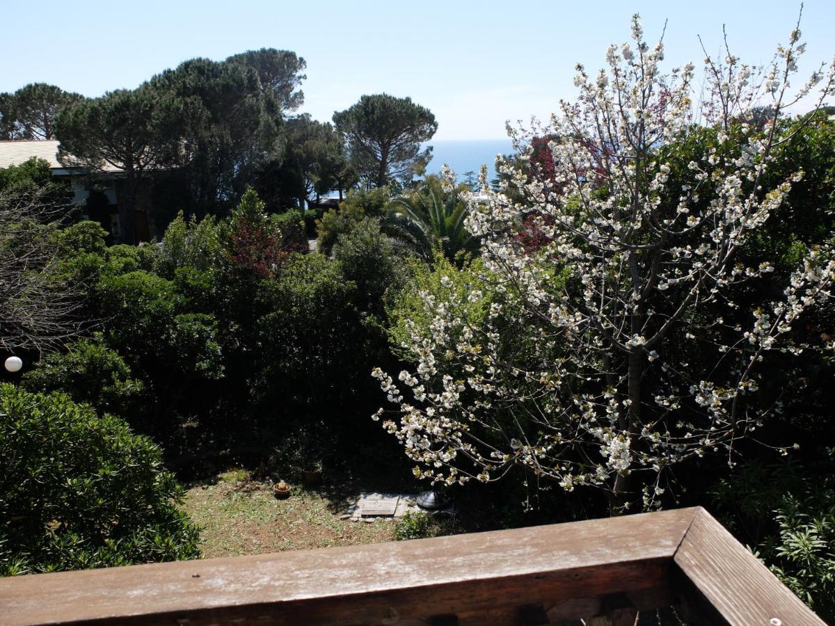 B&B Verde Sul Mare Arenzano Dış mekan fotoğraf
