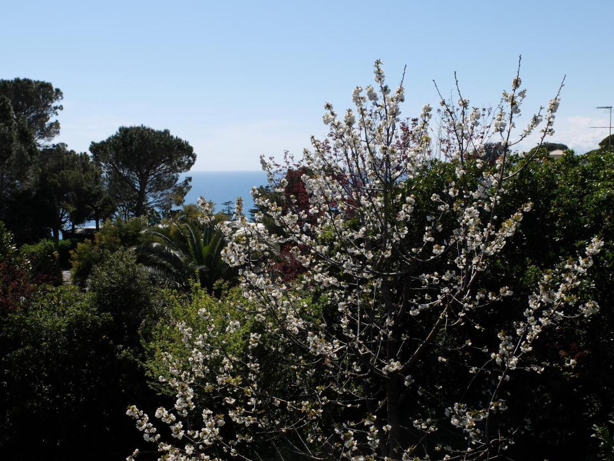 B&B Verde Sul Mare Arenzano Dış mekan fotoğraf